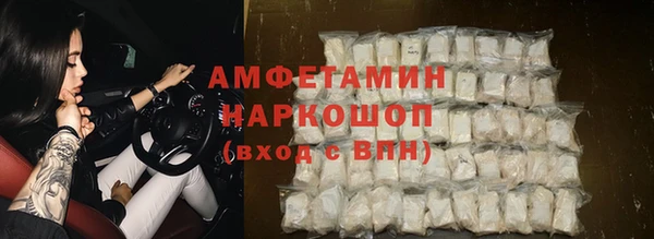 сатива Кукмор