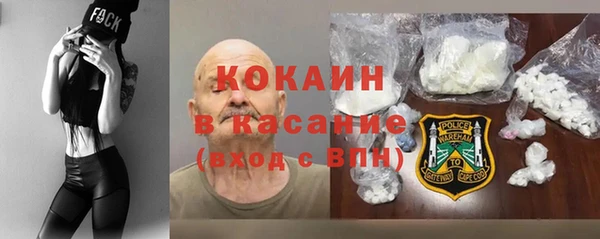 сатива Кукмор