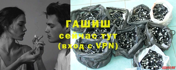сатива Кукмор