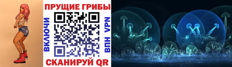Галлюциногенные грибы Magic Shrooms  Купить где  Тихвин 